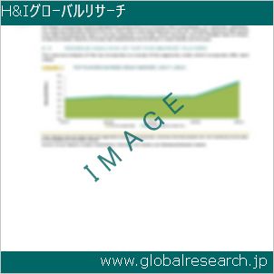 グローバルリサーチ調査レポートのイメージ